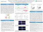 Targeting notch3 with CRISPR-Cas9 technology in zebrafish retinal degeneration models by Emily Januck